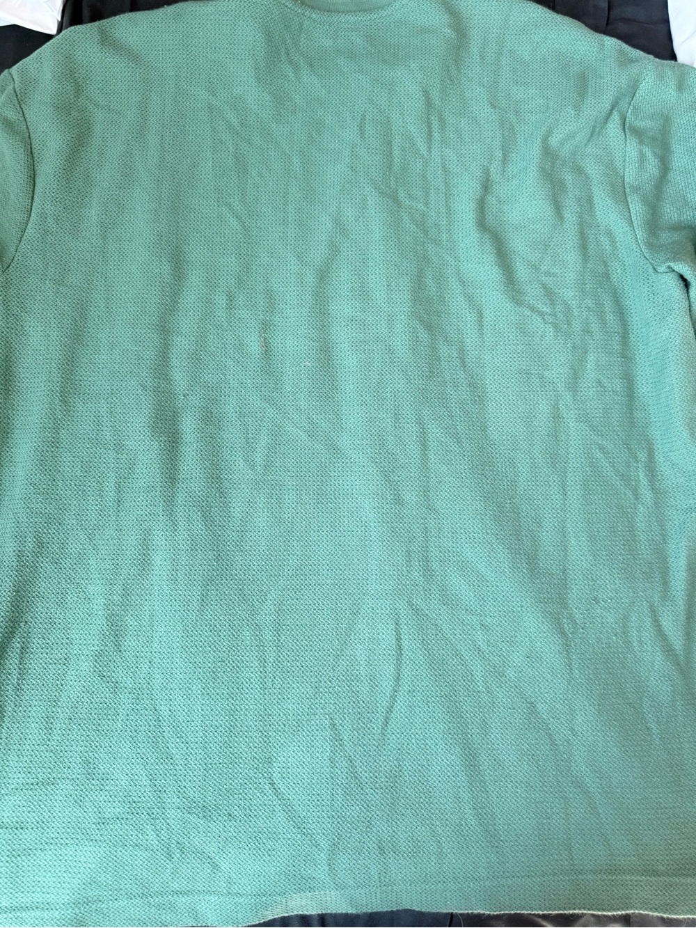 Express Men's Dress Shirt in Mint Green